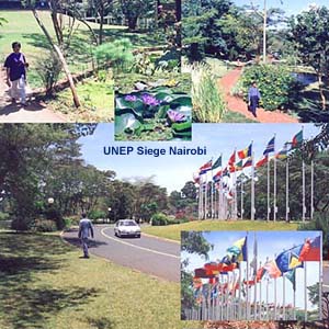 Nairobi, UNEP