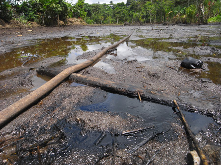 Piscine pollue