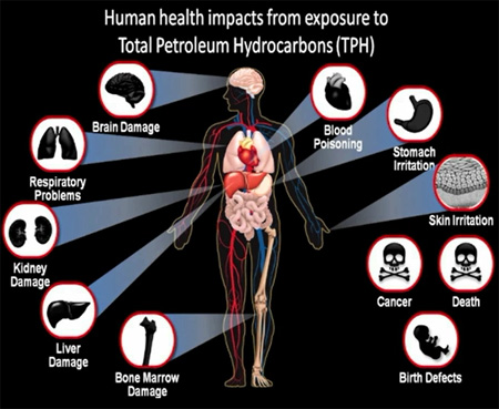 Organes malades de l'ingestion de produits pollus