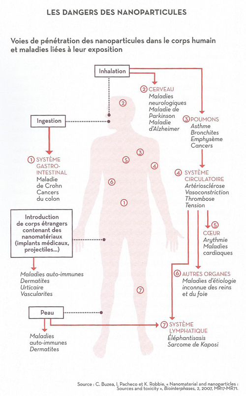 Nanoparticules=danger