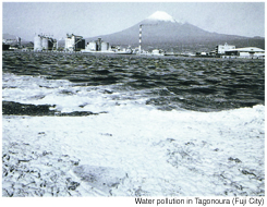 Water pollution in Tagonoura (Fuji City)