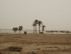 Inondations  Merzouga