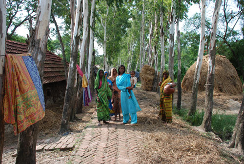 La majorit des habitants de Ghoramara refuse de quitter leur le