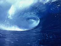 La vague... tsunami