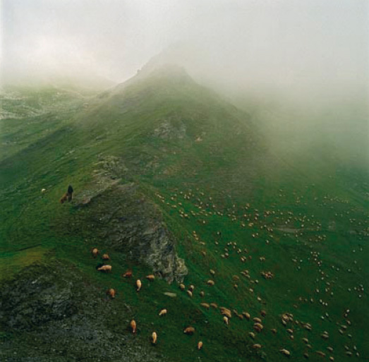 Champagny-le-Haut, alpage de la Vlire, 2150m d'altitude