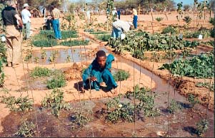 Agharous, arrosage traditionnel du jardin, copyright Pierre Rabhi/Internuntia 2001