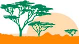 Secretariat for the Convention to Combat Desertification (UNCCD)