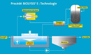 Biolysis E