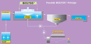 Biolysis principe