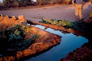 Agharous, canal d'amenée d'eau, copyright Pierre Rabhi/Internuntia 2001